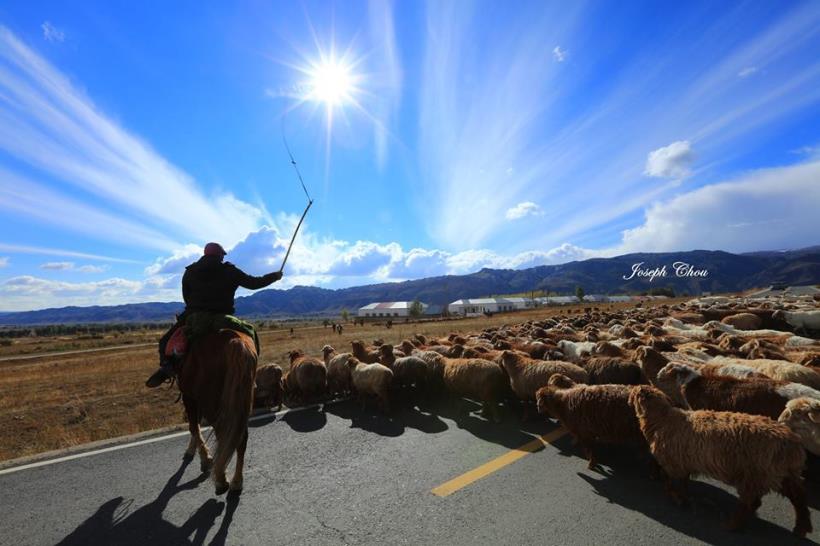 【豐盛人生】把握當下