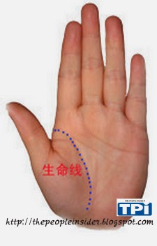生命線