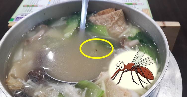 有一次「麵裡有蚊子」，我做了一個「神奇」的決定，連店家都很 感謝我！