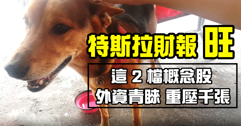 特斯拉 Q3 財報帶旺台供應鏈，這 2 檔受外資青睞，重壓千張！