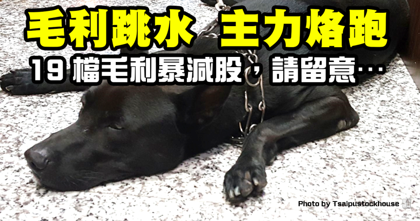 19 檔毛利率爆減股，主力烙跑請小心…(快速檢視清單)