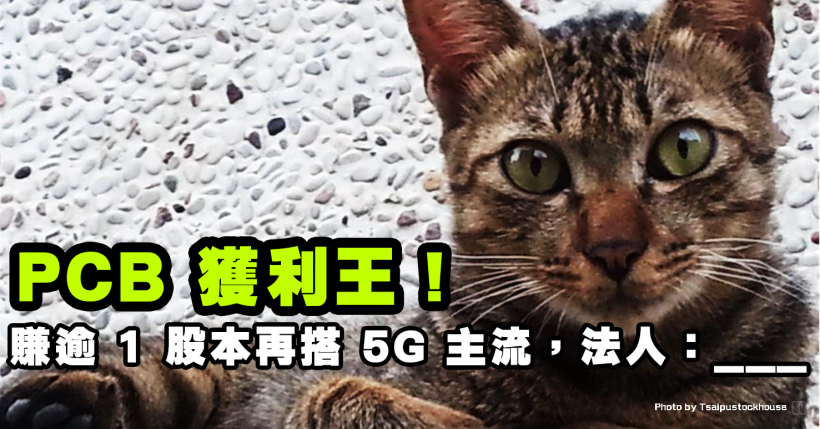 去年賺逾 1 股本+三率齊升，他獲利稱霸 PCB，今年搭 5G 續夯，法人估：...