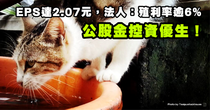 公股金控資優生去年獲利亮眼，EPS 達 2.07 元，法人估：殖利率逾 6％！
