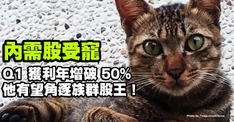 貿易戰升溫，內需股受寵！他 Q1 獲利年增飆破 50％，有望角逐族群股王！