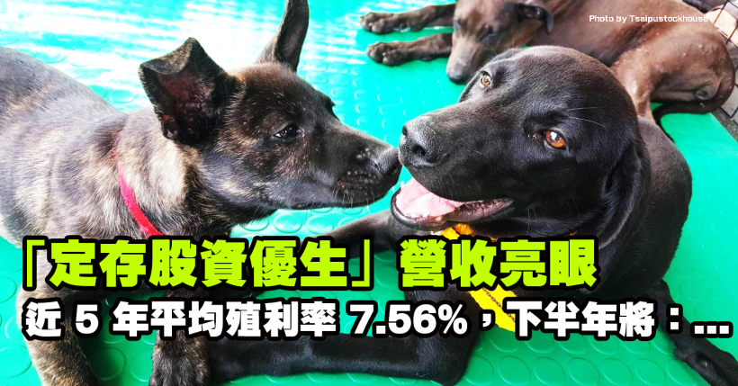 「定存股資優生」近 5 年平均殖利率高達 7.56％，法人估：上半年 EPS 有望逾 2 元！