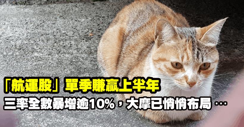 「航運股」單季賺贏上半年，三率全數暴增逾 10％，年底利多待發酵，大摩已悄悄布局…