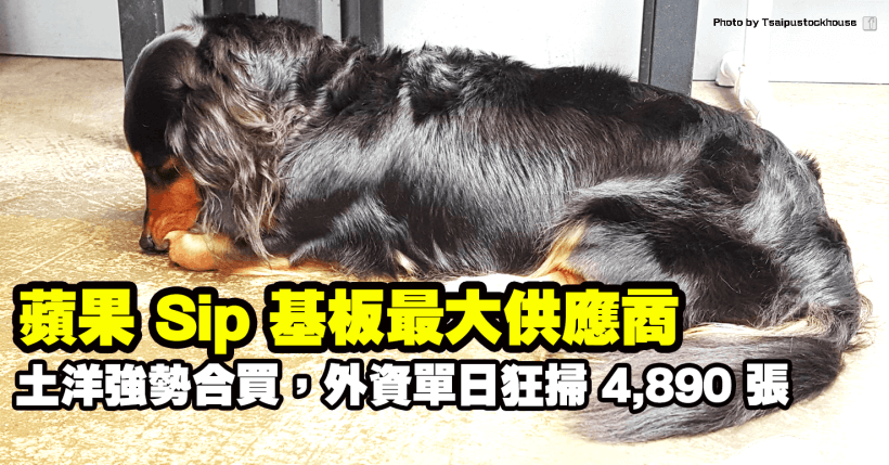 蘋果 Sip 基板最大供應商，土洋合買補庫存，外資單日狂掃 4,890 張！
