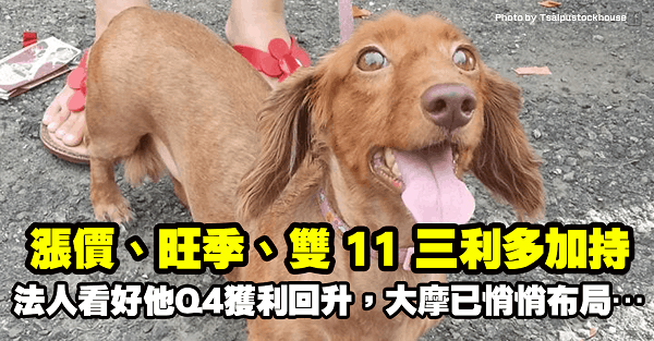 「漲價、旺季、雙 11」三利多加持，法人估計：他 Q4 獲利有望回升，大摩已悄悄布局…