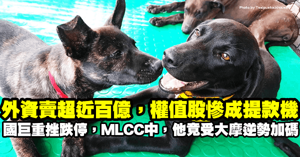 外資連兩日賣超近百億，權值股慘成提款機，MLCC 國巨重挫跌停，他竟受大摩逆勢加碼…