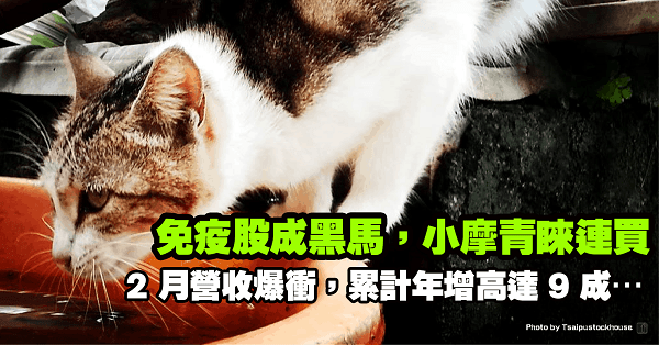 免疫股成黑馬，他 2 月營收爆衝，累計年增上飆 9 成！小摩連買 3 日，投信…