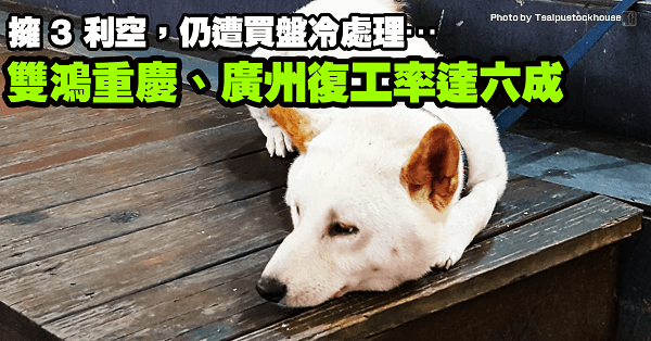 「5G 布建如期」雙鴻重慶、廣州復工率達六成，卻擁 3 利空遭買盤冷處理…
