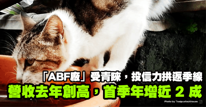 ABF續受青睞，他去年營收創高，首季營收年增近 2 成，投信力拱重返季線！
