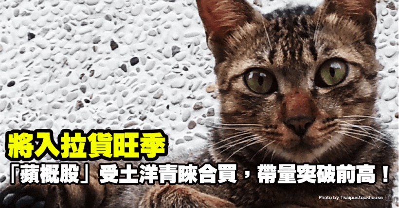 將入拉貨旺季，「蘋概股」受土洋青睞合買，帶量突破前高！董事長：___