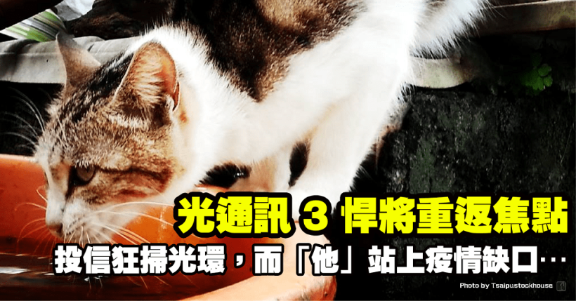 光通訊 3 悍將重返焦點！投信狂掃光環(3234)，而「他」站上疫情缺口，將完成底部型態！
