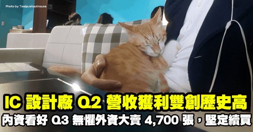「IC設計廠」Q2 營收獲利雙創歷史高！內資看好 Q3 無懼外資大賣 4,700 張，堅定續買