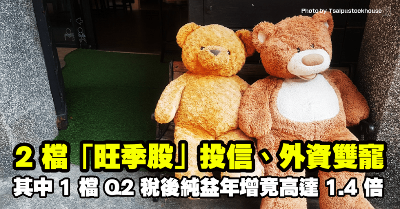 2 檔「旺季股」投信、外資雙寵！其中 1 檔 Q2 稅後純益年增竟高達 1.4 倍…