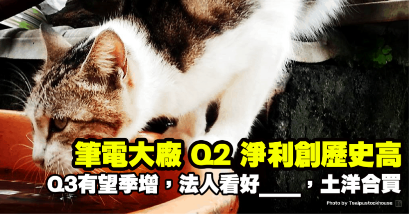 筆電大廠 Q2 淨利創歷史高！Q3 營收有望季增，法人看好毛利續高，土洋合買強勢填息！
