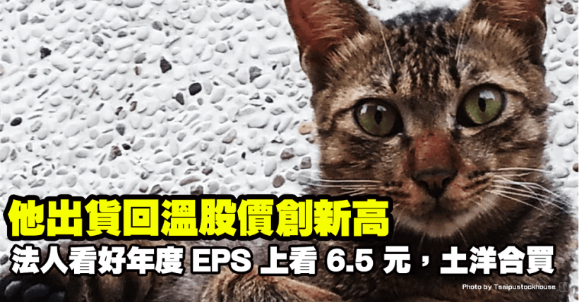 他出貨回溫 7月營收創高，法人看好年度 EPS 上看 6.5 元，土洋合買股價創新高！