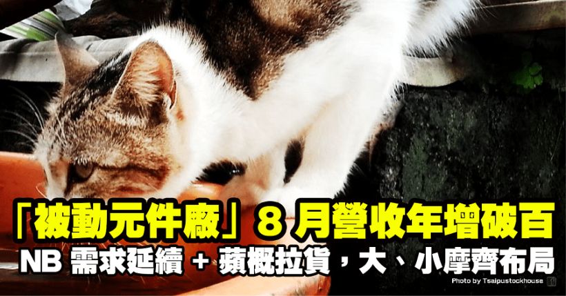 NB 需求延續 + 蘋概拉貨，「被動元件廠」8月營收年增破百，獲大、小摩齊布局！