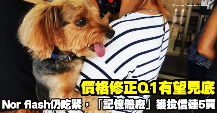 價格修正Q1有望見底，Nor flash仍吃緊，「記憶體廠」獲投信連5買