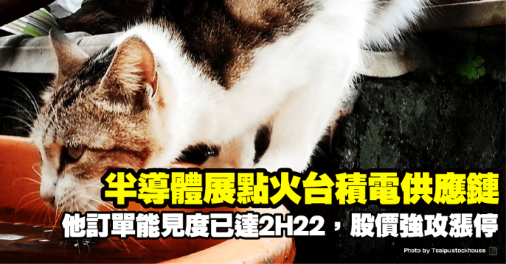 半導體展點火台積電供應鏈，他訂單能見度已達2H22，股價強攻漲停
