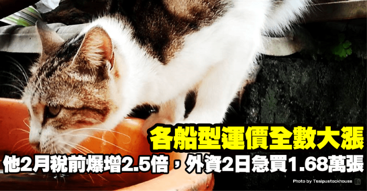 各船型運價飆漲，他2月稅前爆增2.5倍，外資2日急買1.68萬張