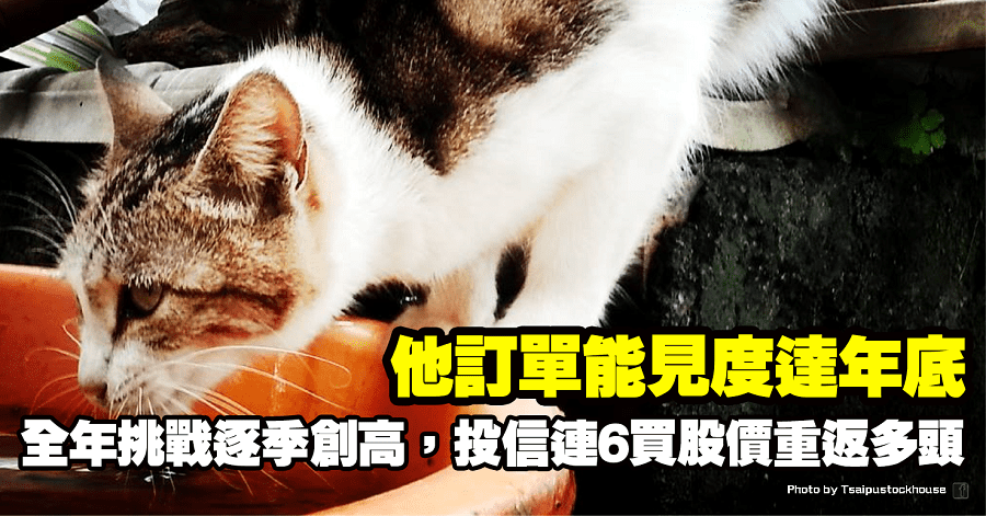 光罩(2338)