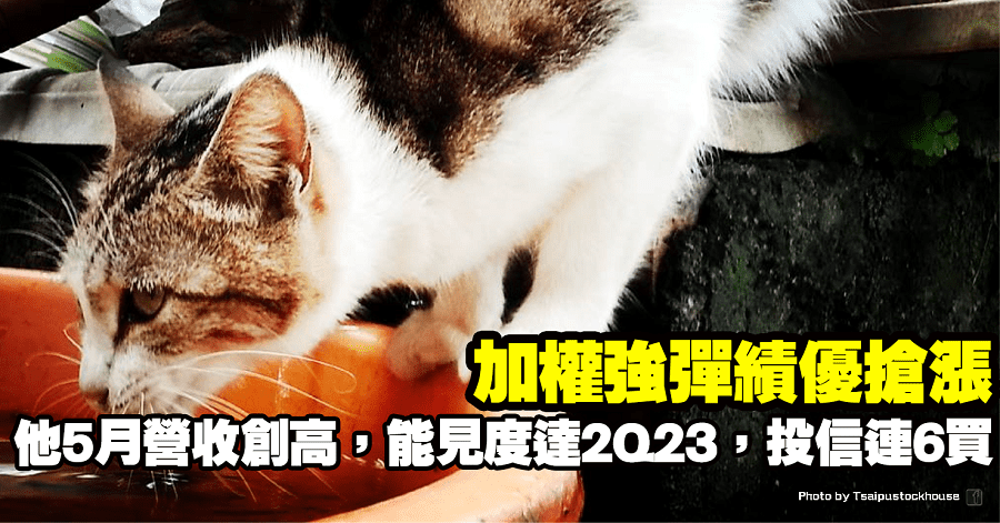 智易(3596)