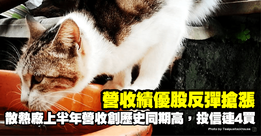 奇鋐(3017)