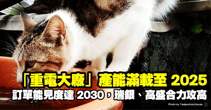 中興電(1513)