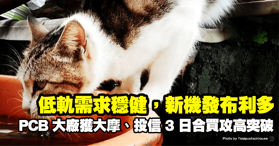 華通(2313)