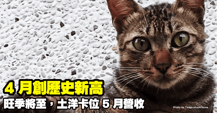 鈊象