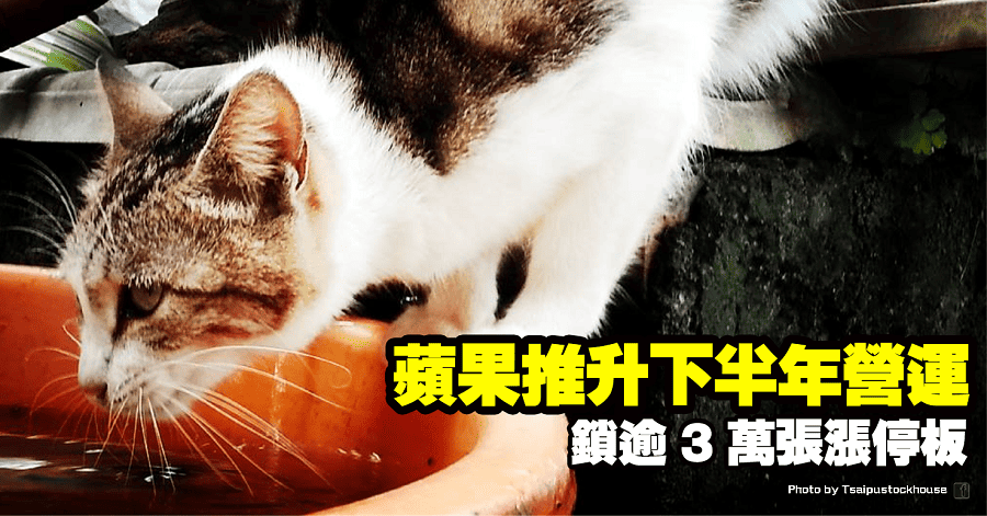 欣興