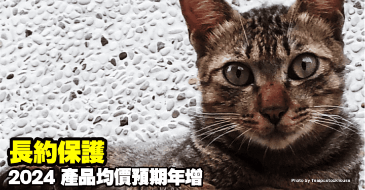 環球晶