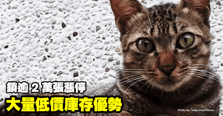 至上