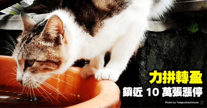 富喬