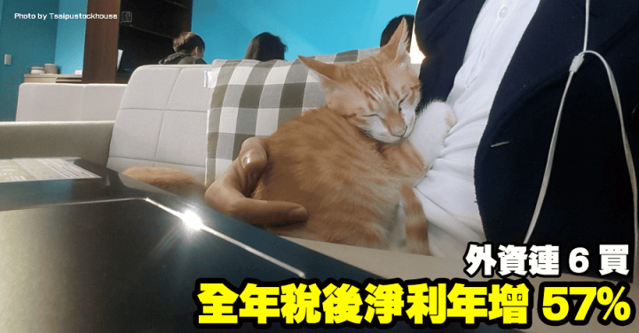 柏文