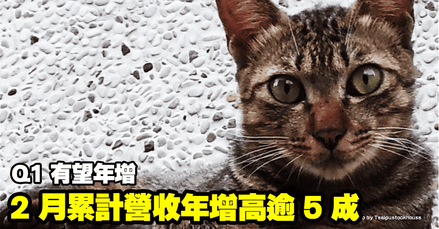 雷科