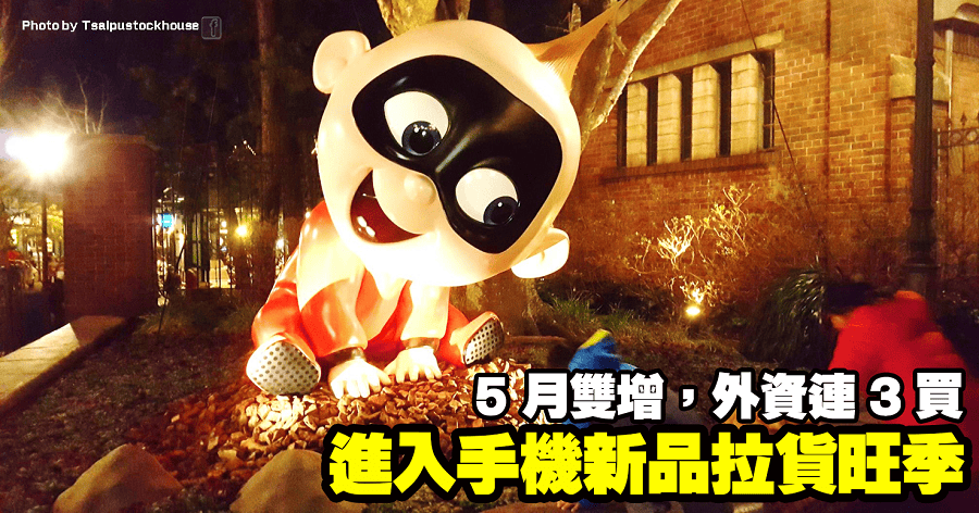 精材