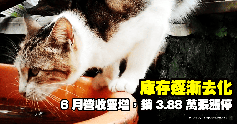 亞光