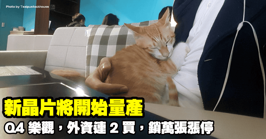 揚智