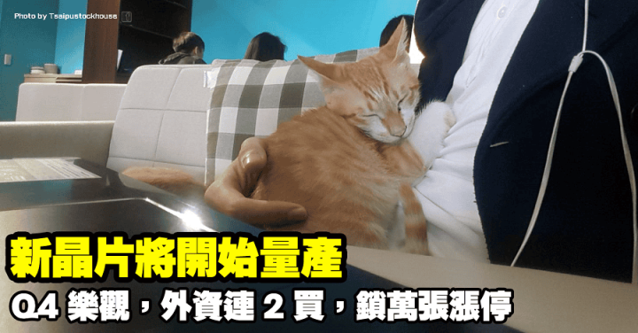 揚智