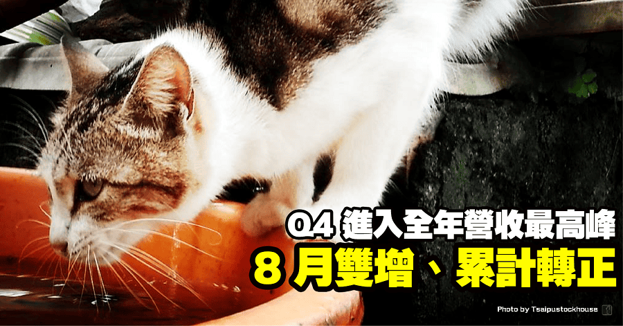 中探針