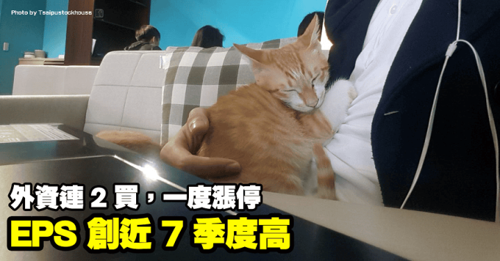 智伸科