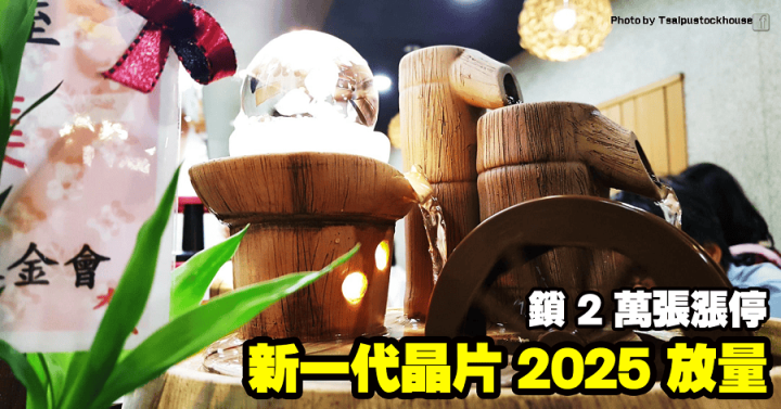 揚智