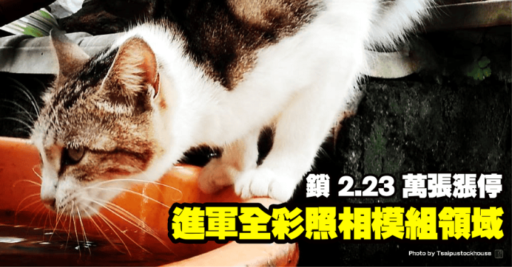 亞光