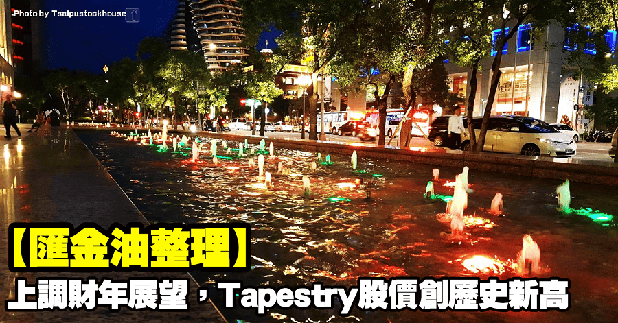 匯金油