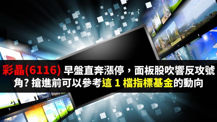 彩晶 (6116) 早盤直奔漲停，面板股吹響反攻號角? 搶進前可以參考這 1 檔指標基金的動向