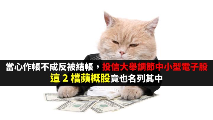 當心作帳不成反被結帳，投信大舉調節中小型電子股，這 2 檔蘋概股竟也名列其中…