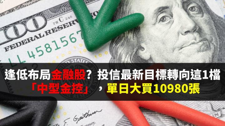 逢低布局金融股?  投信最新目標轉向這1檔「中型金控股」，單日急買10,980張